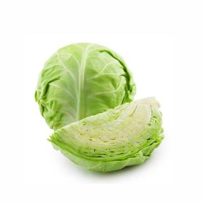 Cabbage-முட்டைகோஸ்